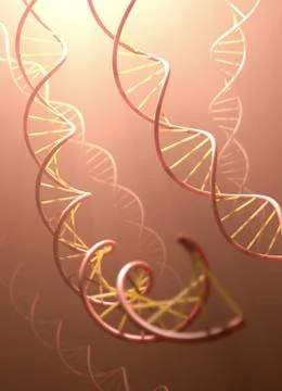 DNA Structure Stock Illustration