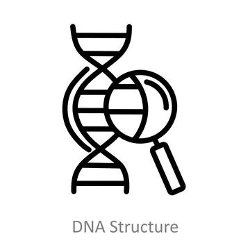 Dna Structure Stock Illustration