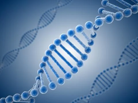 DNA structure Stock Illustration