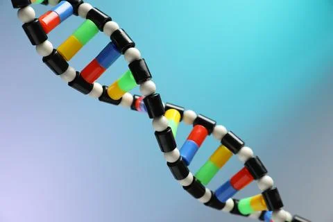 DNA structure model on color background, closeup 스톡 사진