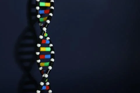 DNA structure model on dark background, space for text 스톡 사진