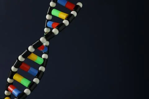 DNA structure model on dark background, closeup. Space for text 写真素材