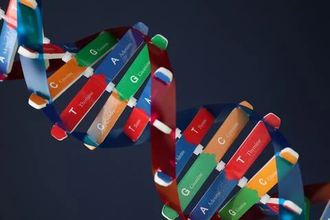 DNA structure model on dark background, closeup 写真素材