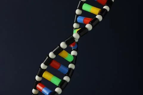 DNA structure model on dark background, closeup 스톡 사진