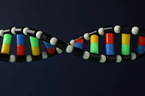 DNA structure model on dark background, closeup Stock Photos
