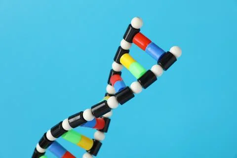 DNA structure model on light blue background, closeup 스톡 사진