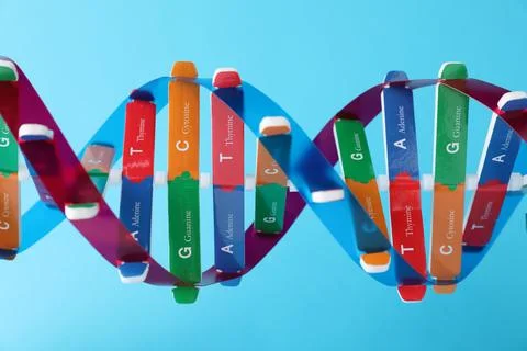 DNA structure model on light blue background, closeup 스톡 사진