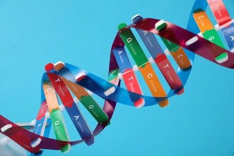 DNA structure model on light blue background, closeup 스톡 사진
