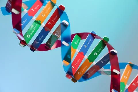 DNA structure model on light blue background, closeup Stock Photos