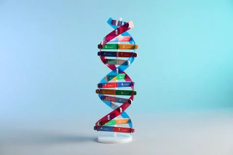 DNA structure model on light blue background 스톡 사진