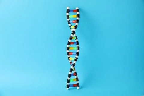 DNA structure model on light blue background Stock Photos