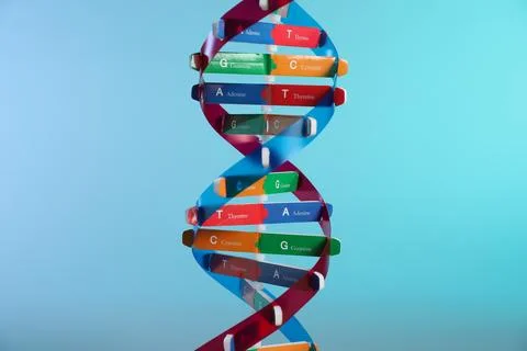 DNA structure model on light blue background, closeup 스톡 사진