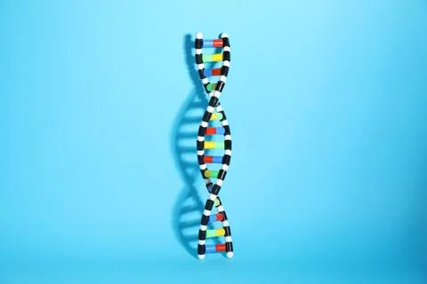 DNA structure model on light blue background 스톡 사진