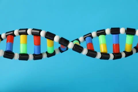 DNA structure model on light blue background, closeup 스톡 사진