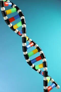 DNA structure model on light blue background, closeup 스톡 사진