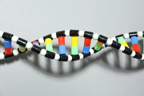DNA structure model on light grey background, top view Stock Photos