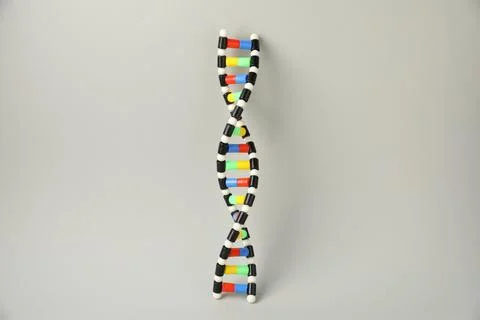 DNA structure model on light grey background Stock Photos