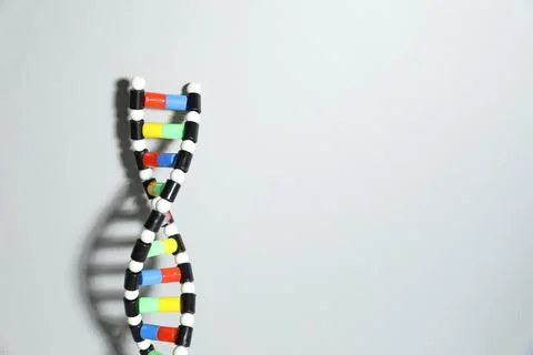 DNA structure model on light grey background, space for text Stock Photos