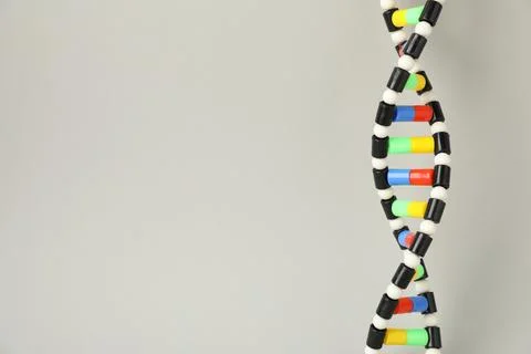 DNA structure model on light grey background, space for text Stock Photos