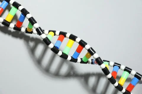 DNA structure model on light grey background, above view Stock Photos