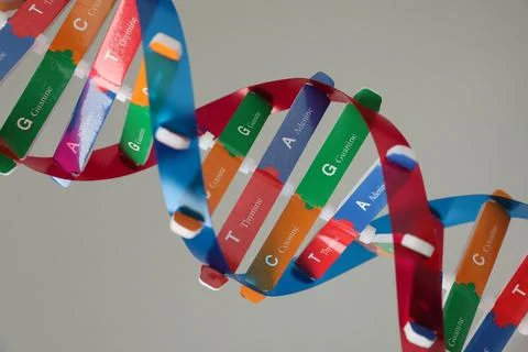 DNA structure model on light grey background, closeup Foto stock