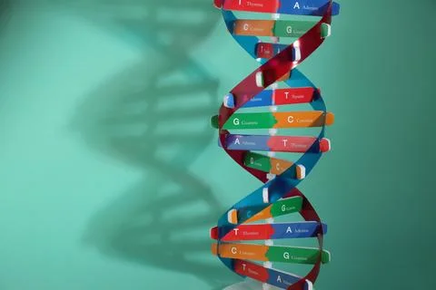 DNA structure model on turquoise background, space for text Stock Photos