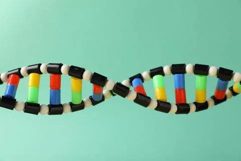 DNA structure model on turquoise background, closeup 스톡 사진