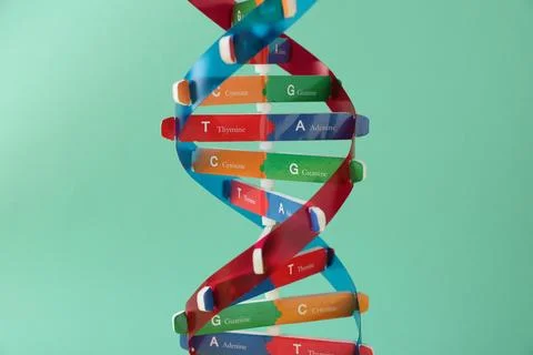 DNA structure model on turquoise background, closeup 스톡 사진