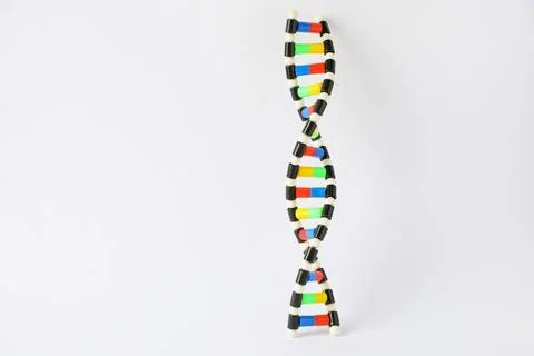 DNA structure model on white background, space for text 스톡 사진