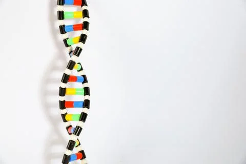 DNA structure model on white background, space for text Stockfoto's