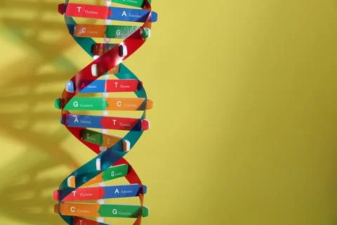 DNA structure model on yellow background, space for text Stock Photos