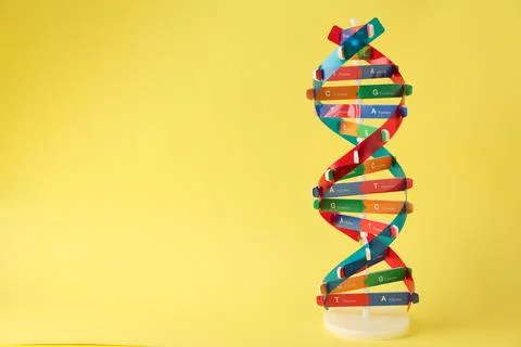 DNA structure model on yellow background, space for text Stockfoto's