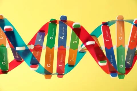 DNA structure model on yellow background, closeup Foto stock