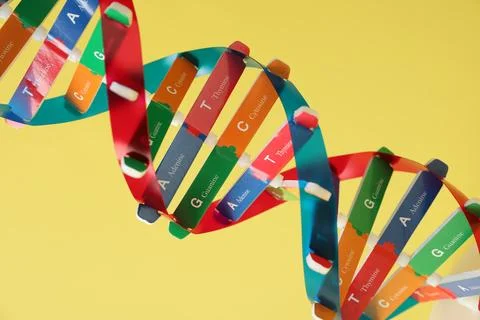 DNA structure model on yellow background, closeup 写真素材