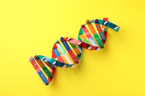 DNA structure model on yellow background, top view 스톡 사진
