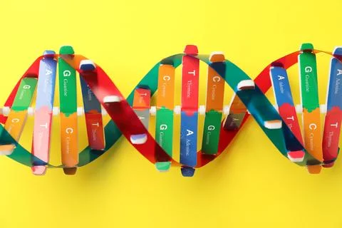 DNA structure model on yellow background, top view 스톡 사진