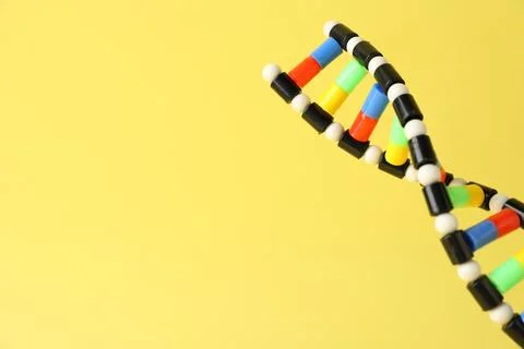 DNA structure model on yellow background, closeup. Space for text 스톡 사진