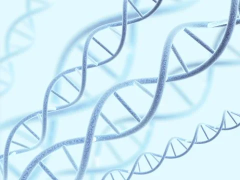 DNA structure Stock Photos