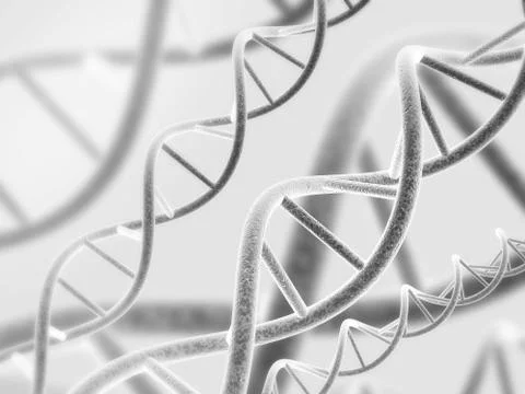 DNA structure 스톡 사진
