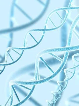 DNA structure 스톡 사진