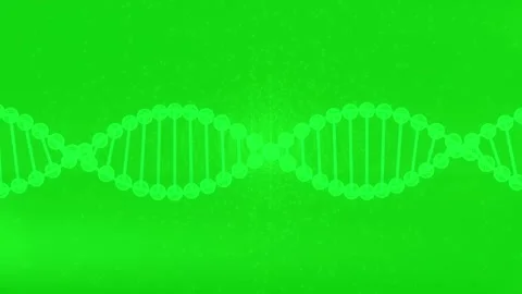 DNA structure rotating on green screen background for medical research Stock Footage 329292277