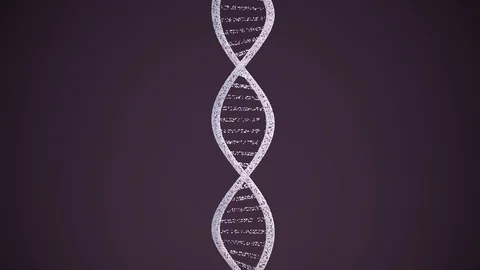 Dna structure rotation. 3D illustration | Stock Video | Pond5