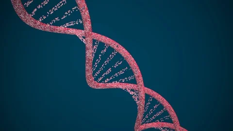 Dna structure rotation. 3D illustration Stock Footage 124517454