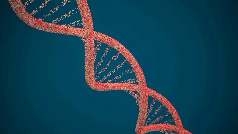 Dna structure rotation. 3D illustration Stock-Footage 125243292