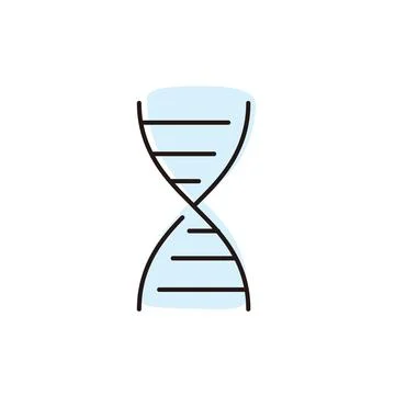 DNA structure is shown in simple design that illustrates genetic information for Illustration