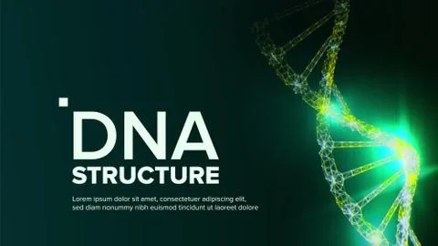 Dna Structure Vector. Abstract Helix. Futuristic Code. Illustration Stock Illustration