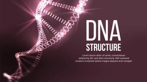 Dna Structure Vector. Digital Cell. Healthy Chromosome. Evolution Symbol Stock Illustration
