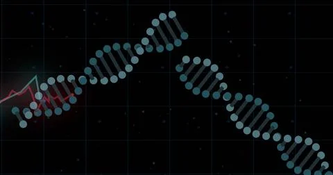 Dna structures spinning against red graph over grid network against black Foto stock