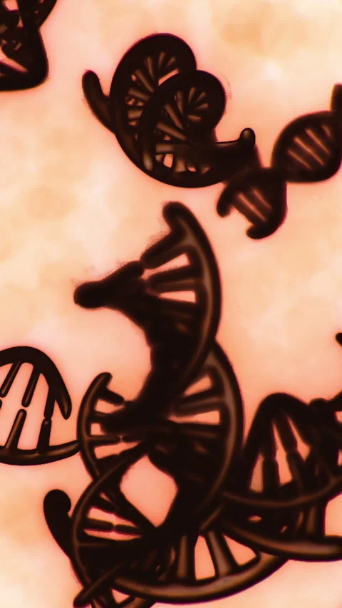 DNA structures under a microscope in a laboratory setting with warm lighting Stock Footage 334885492