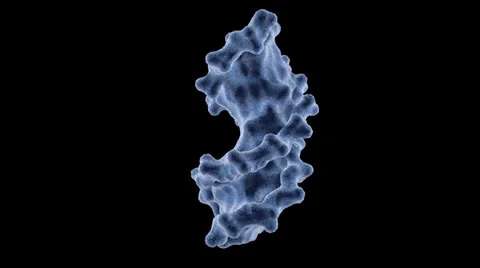 DNA - Surface dissolves to expose basepairs Stock Footage 27138701